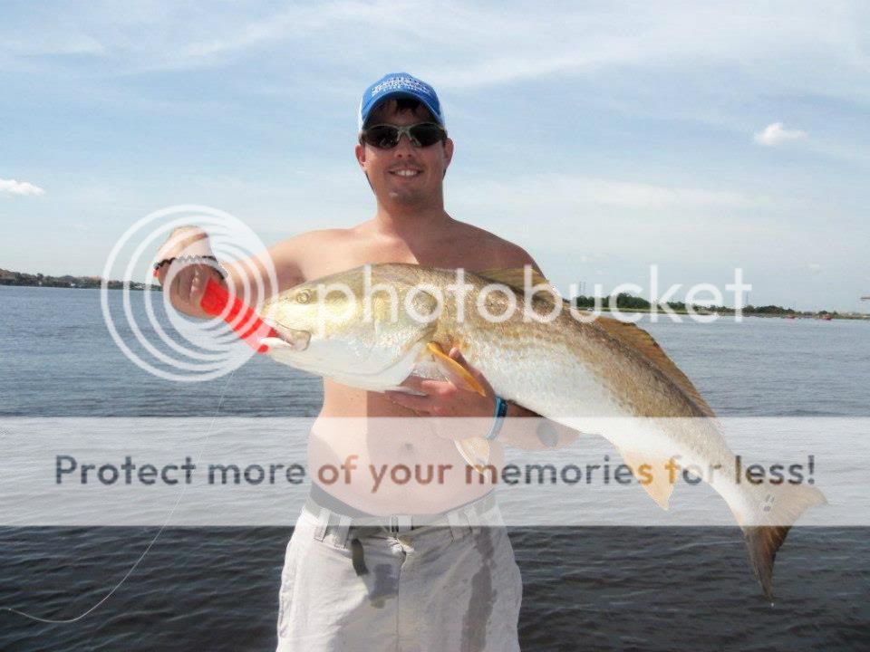 jaxbull8.jpg
