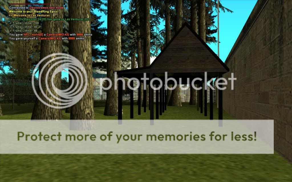 [Image: gallery195.jpg]