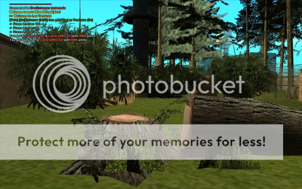 [Image: gallery196.jpg]