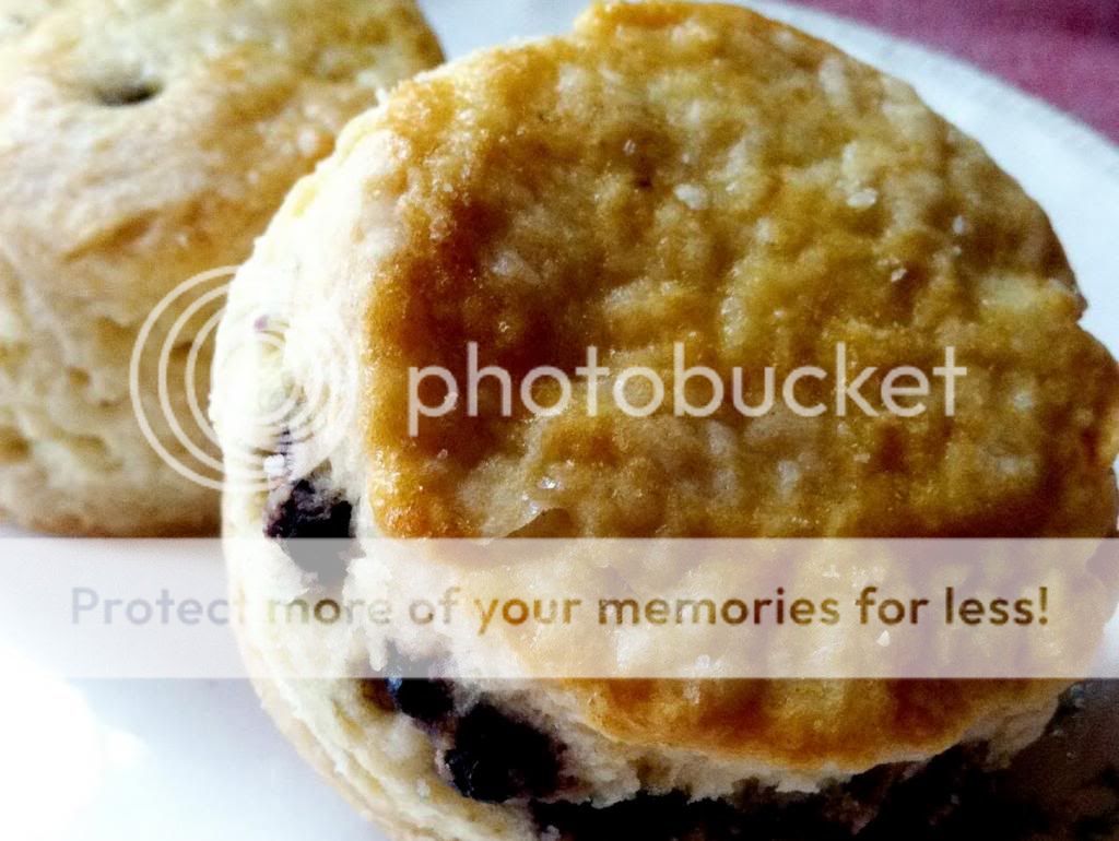 Cream Scones with Blueberry