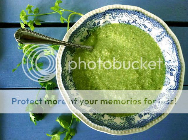 Cold Cucumber Soup