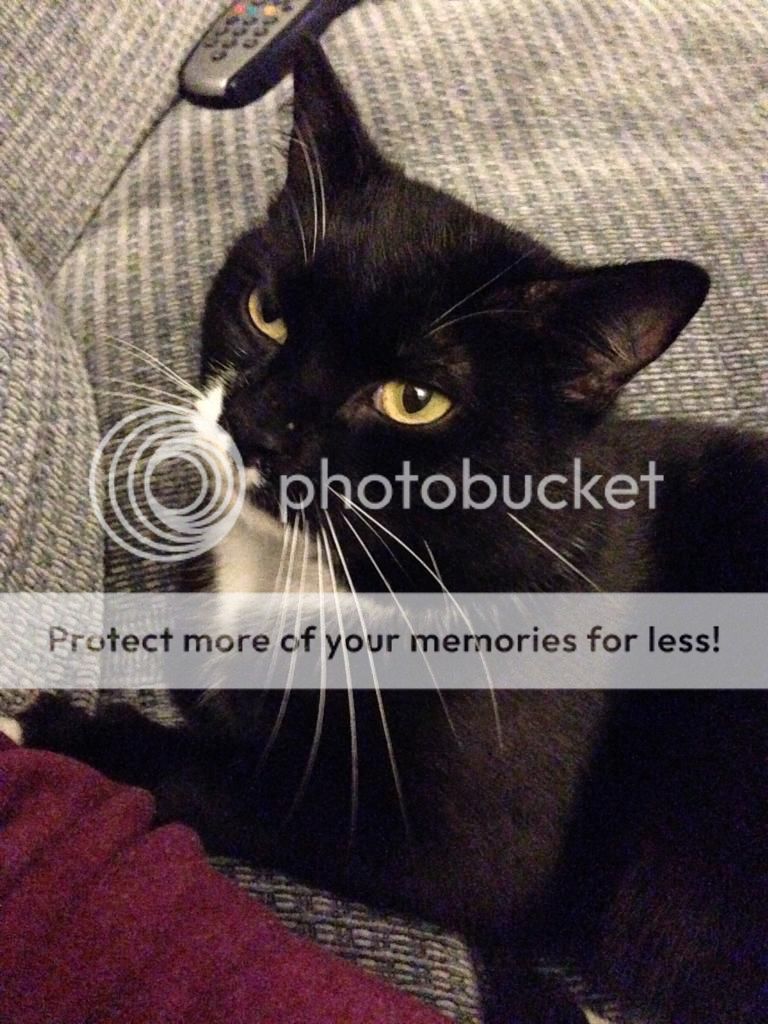 IMG_2933_zps69750f9f.jpg