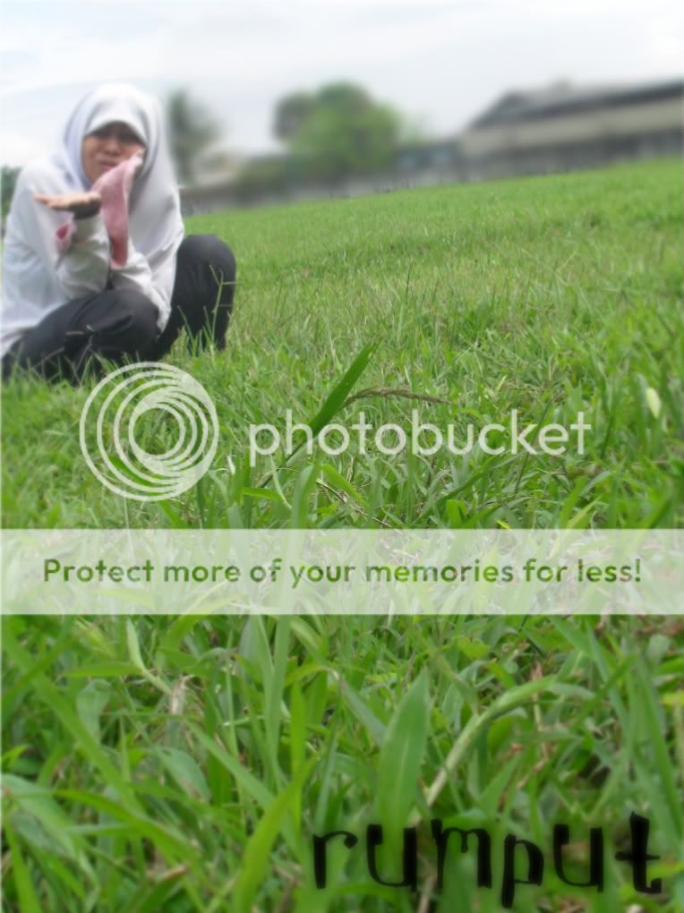 nisa si rumput