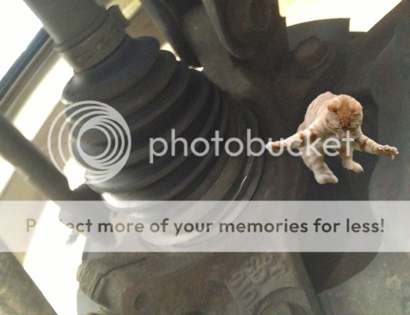 Front axle nut came loose... NASIOC