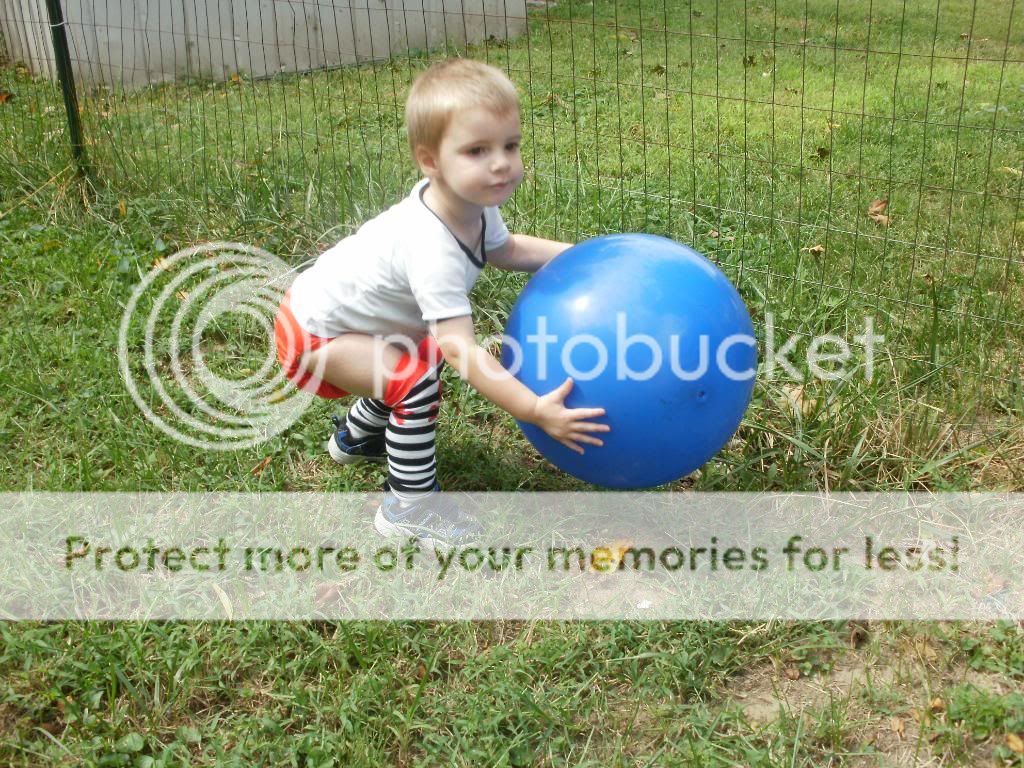 Photobucket Photobucket